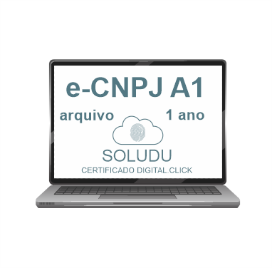 e-CNPJ A1